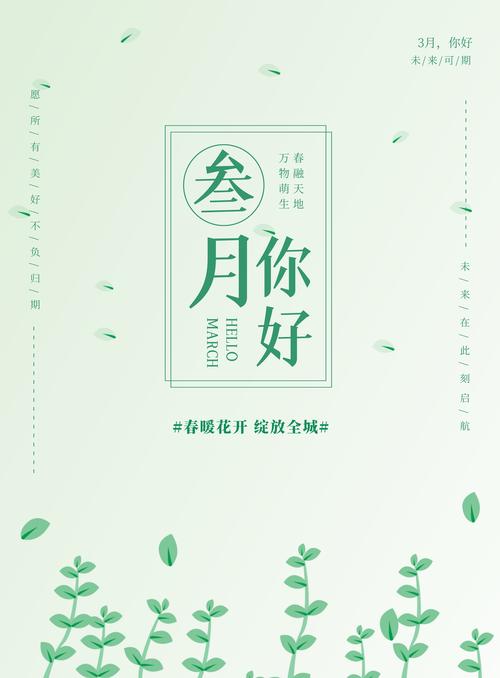 盆栽竹子